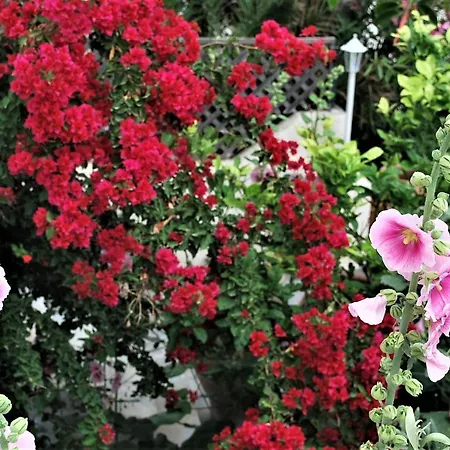 Deluxe & Ageri-milos Apartament Adamantas (Milos)