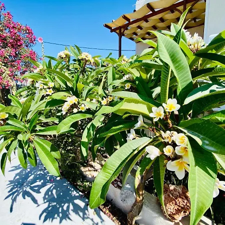 Deluxe & Ageri-milos Apartament *