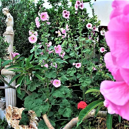 Deluxe & Ageri-milos Διαμέρισμα Αδάμας