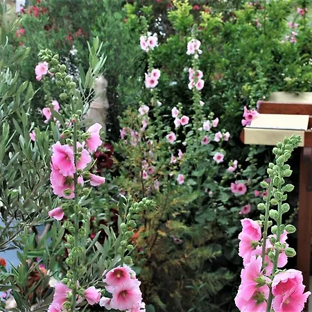 Deluxe & Ageri-milos Апартаменты *