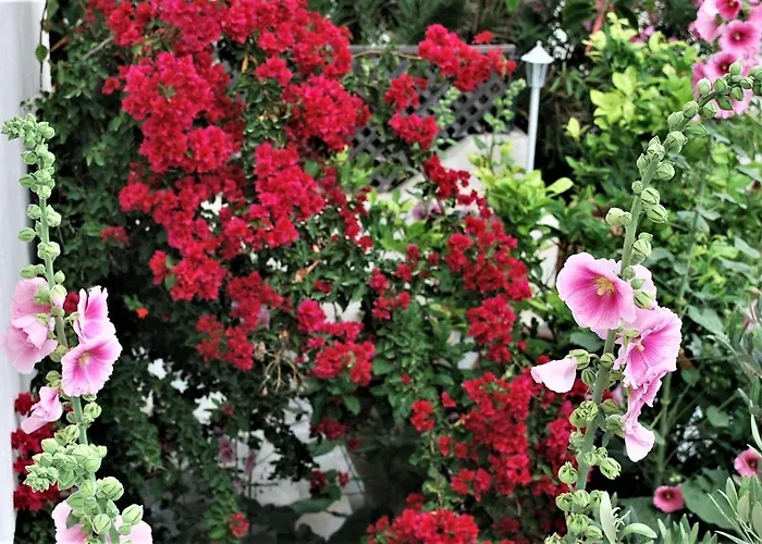 Deluxe & Ageri-milos Lägenhet Adamantas (Milos)