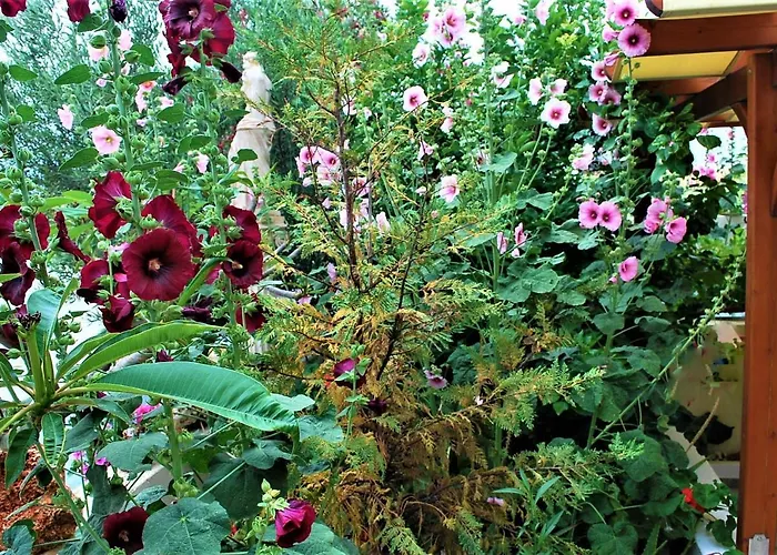 Apartamento Deluxe & Ageri-milos