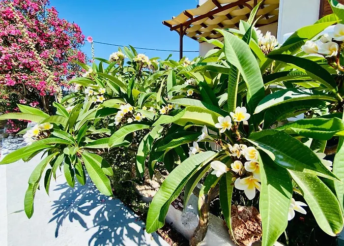 Deluxe & Ageri-milos 公寓 *